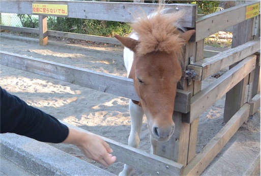 f:id:outdoor-kanazawa:20151025173557j:image f:id:outdoor-kanazawa:20151025173557j:image