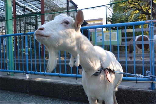 f:id:outdoor-kanazawa:20151025174348j:image f:id:outdoor-kanazawa:20151025174348j:image