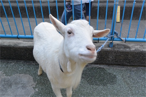 f:id:outdoor-kanazawa:20151025174612j:image f:id:outdoor-kanazawa:20151025174612j:image