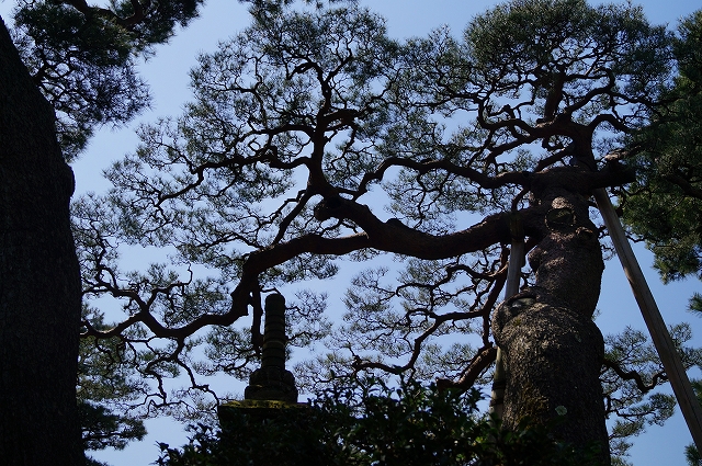 f:id:outdoor-kanazawa:20160403101620j:plain