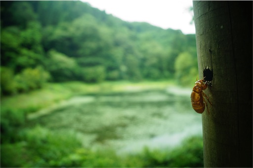 f:id:outdoor-kanazawa:20160718212501j:image f:id:outdoor-kanazawa:20160718212501j:image
