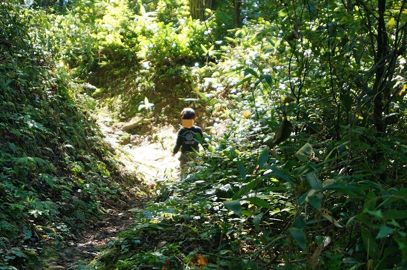 f:id:outdoor-kanazawa:20161017191012j:plain f:id:outdoor-kanazawa:20161017191012j:plain