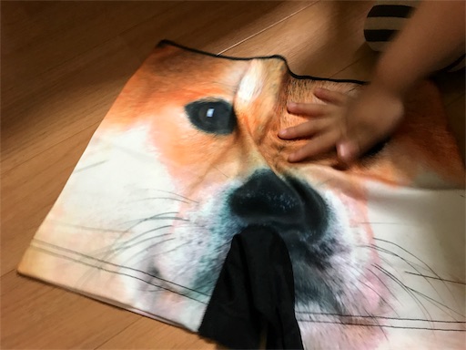 f:id:outdoor-kanazawa:20170522210000j:image