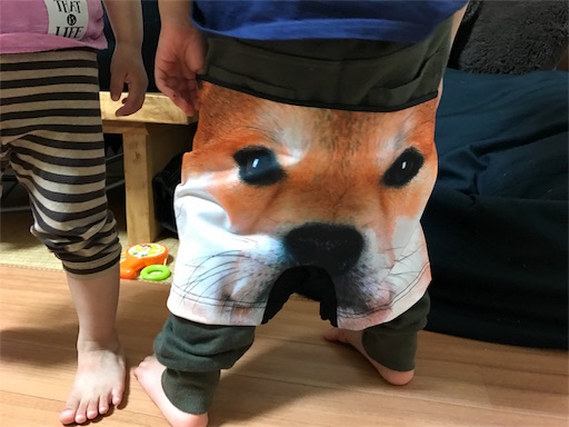 f:id:outdoor-kanazawa:20170522220849j:image