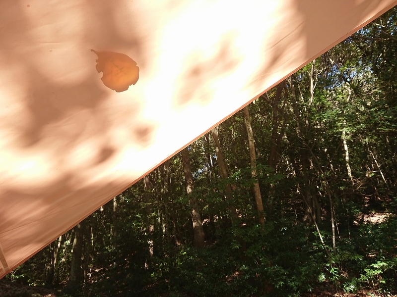 f:id:outdoorchallenge:20211121182935j:plain
