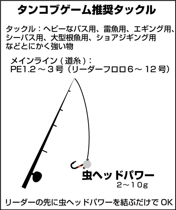 f:id:outdoordai:20200523195236j:plain
