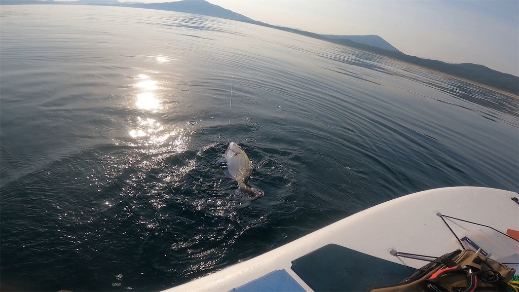 f:id:outdoormarine:20250524112858j:image f:id:outdoormarine:20250524112858j:image