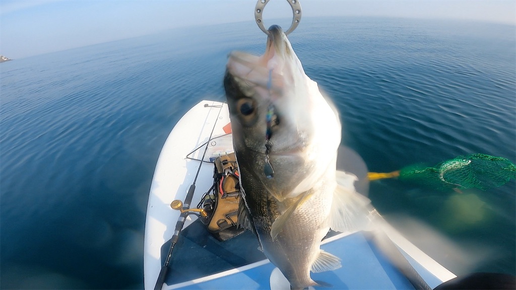 f:id:outdoormarine:20250524113243j:image f:id:outdoormarine:20250524113243j:image