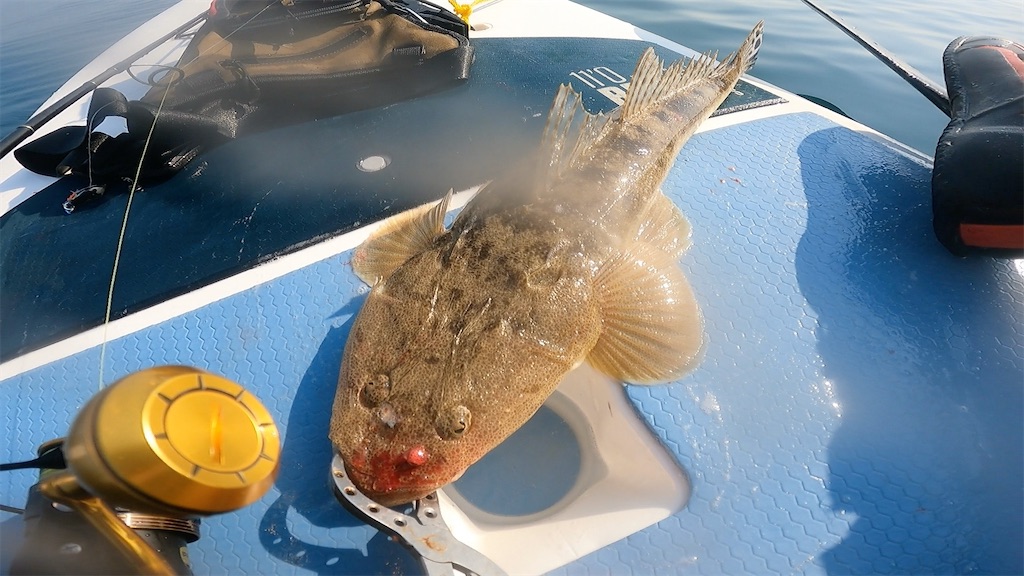 f:id:outdoormarine:20250524113439j:image f:id:outdoormarine:20250524113439j:image