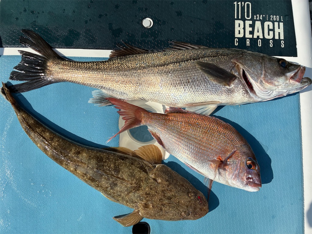 f:id:outdoormarine:20250524115049j:image f:id:outdoormarine:20250524115049j:image