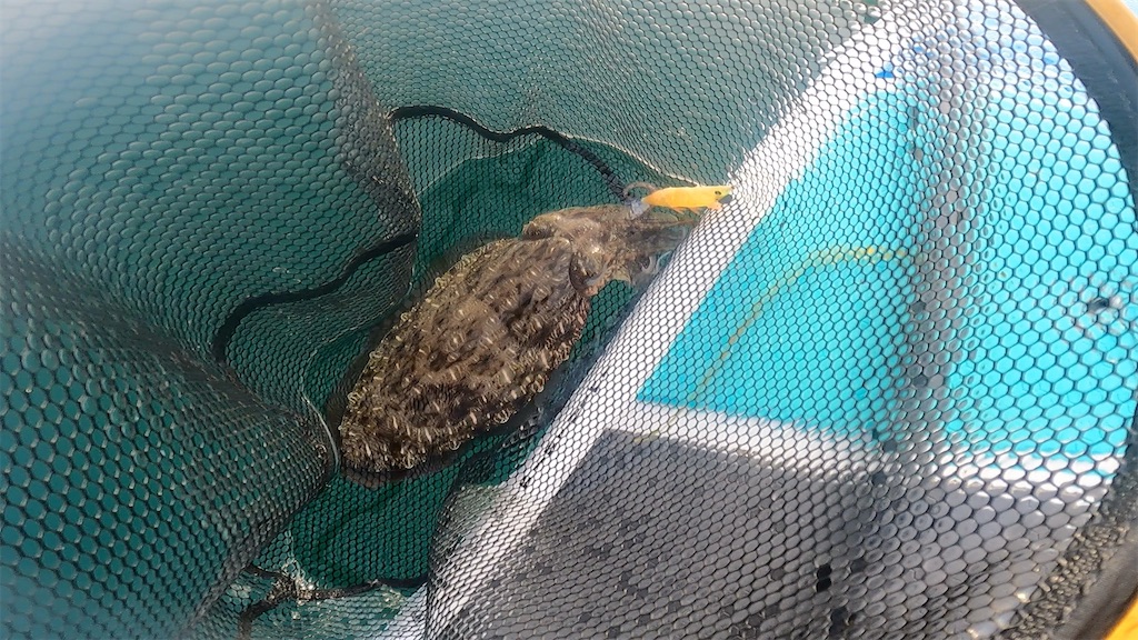 f:id:outdoormarine:20250527231731j:image f:id:outdoormarine:20250527231731j:image