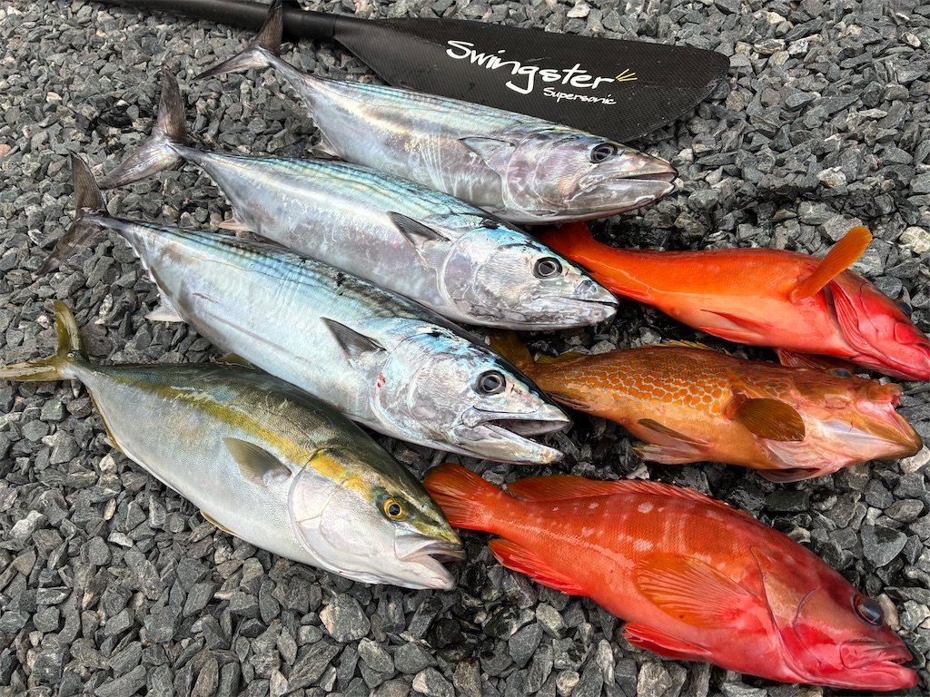 f:id:outdoormarine:20251108212602j:image f:id:outdoormarine:20251108212602j:image