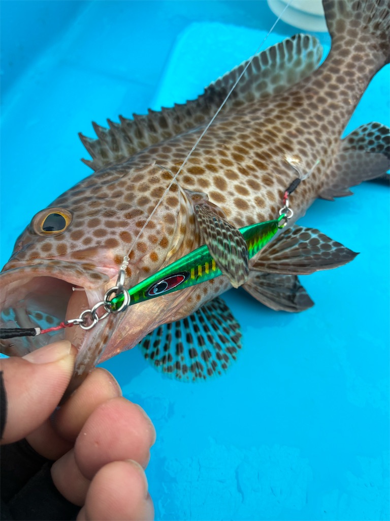 f:id:outdoormarine:20260503202009j:image