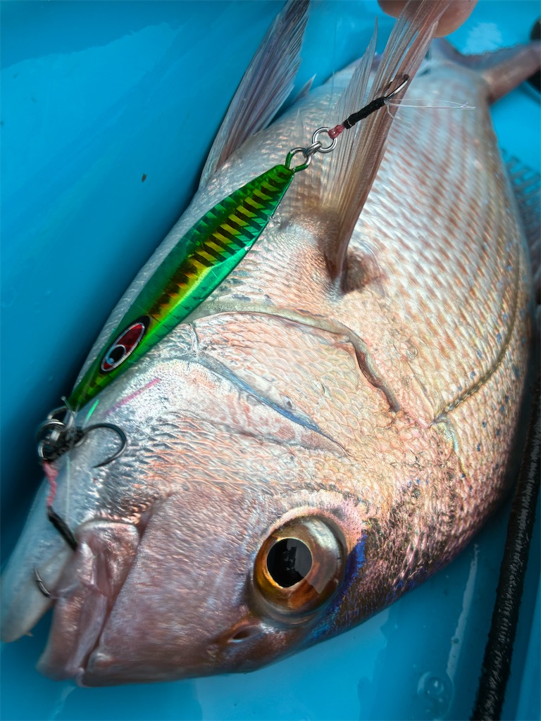 f:id:outdoormarine:20260503202018j:image