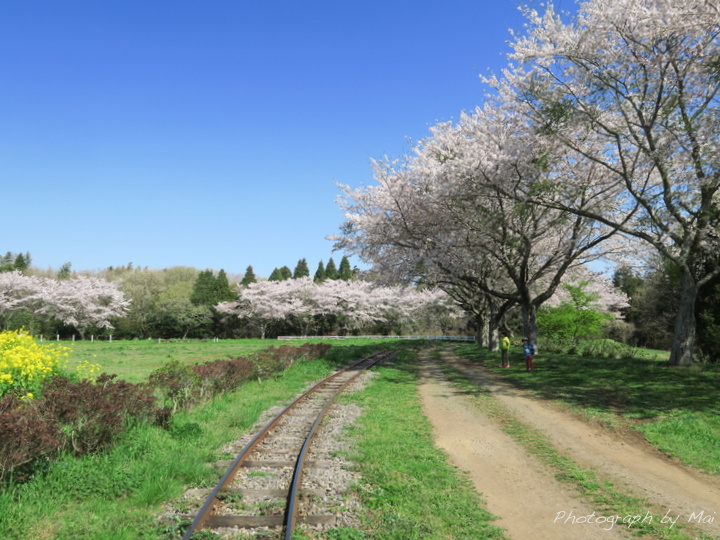 f:id:outdoorsytype:20190419222342j:plain f:id:outdoorsytype:20190419222342j:plain