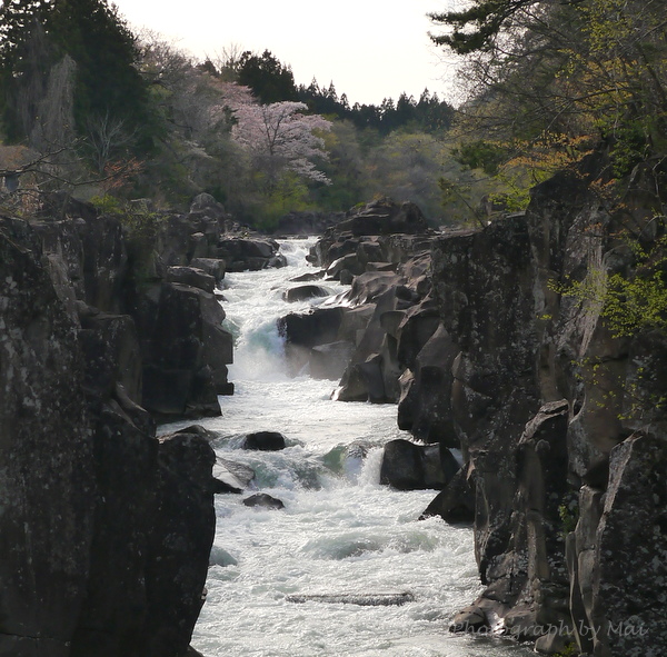 f:id:outdoorsytype:20190528142835j:plain