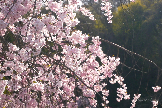 f:id:outdoorsytype:20190615225441j:plain