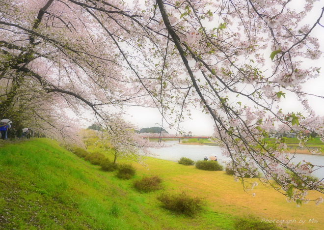 f:id:outdoorsytype:20190617140241j:plain