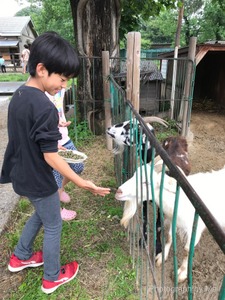 f:id:outdoorsytype:20190628234527j:plain