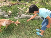 f:id:outdoorsytype:20190911231319j:plain
