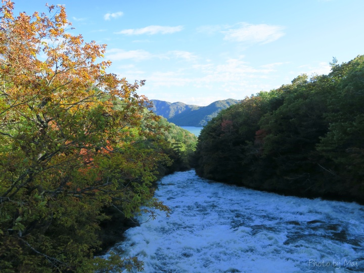 f:id:outdoorsytype:20191101185720j:plain f:id:outdoorsytype:20191101185720j:plain