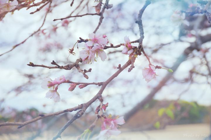 f:id:outdoorsytype:20191222084358j:plain f:id:outdoorsytype:20191222084358j:plain