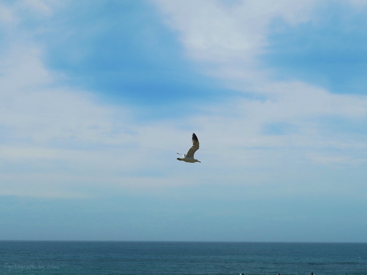 f:id:outdoorsytype:20200722142627j:plain f:id:outdoorsytype:20200722142627j:plain