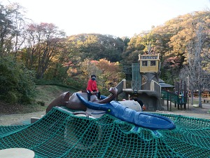 f:id:outdoorsytype:20220116203902j:plain