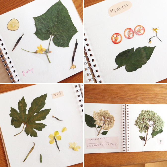 夏休みの自由研究はコレにしました 小学１ ２年の記録 押し花 キャンドル オウチノ道具