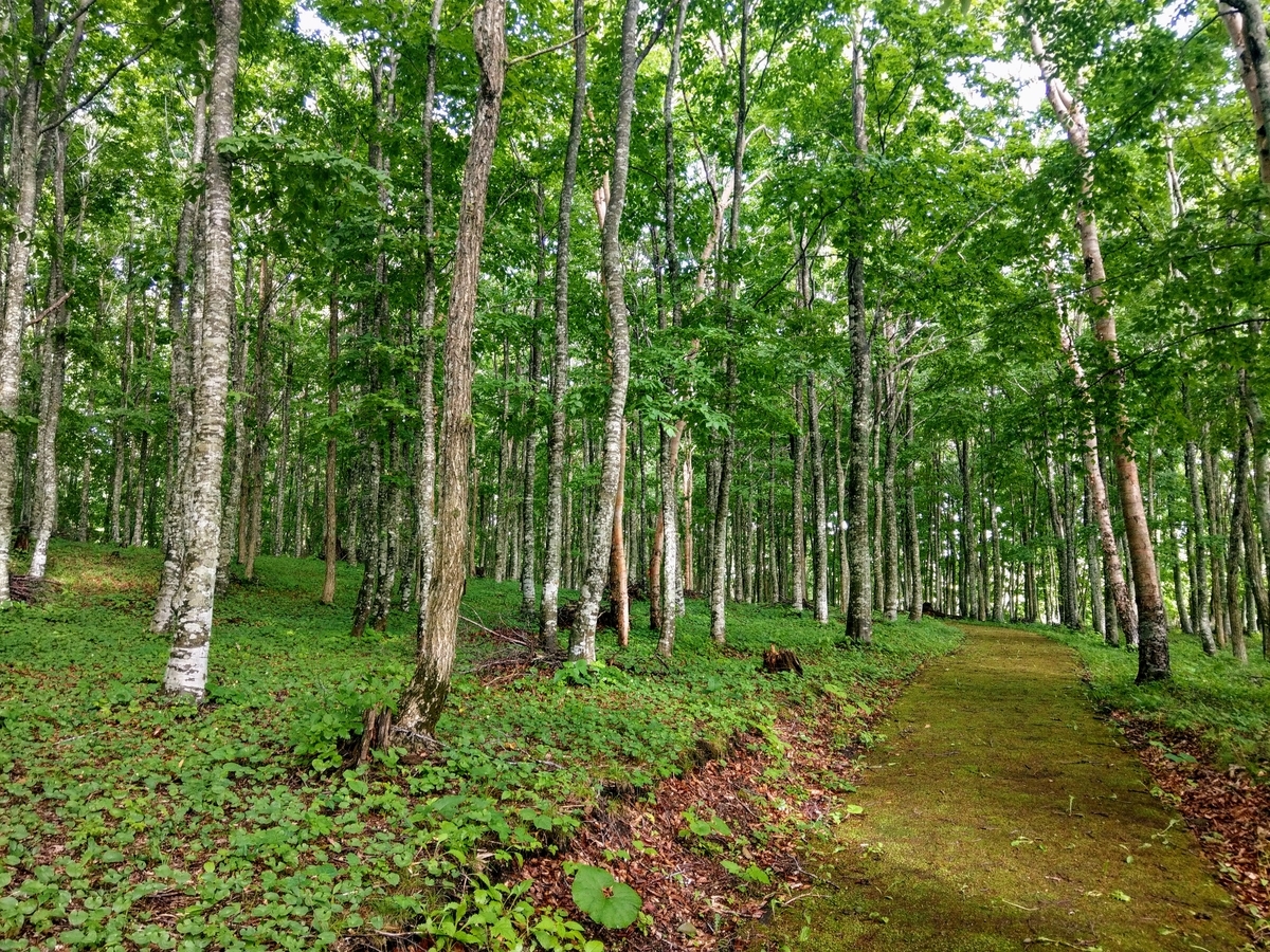 f:id:output2019:20190820173902j:plain f:id:output2019:20190820173902j:plain