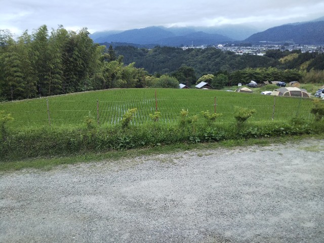 f:id:outwalk:20200621045718j:plain f:id:outwalk:20200621045718j:plain