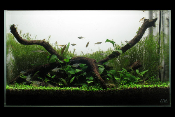 f:id:ovalis:20100228220007j:image