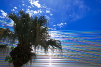 f:id:ovalis:20120826120304j:image:right