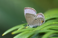 f:id:ovalis:20120923102516j:image:right