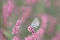 f:id:ovalis:20131026152920j:image:right