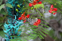 f:id:ovalis:20140713091542j:image:right