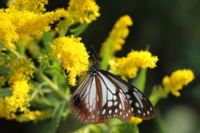 f:id:ovalis:20141018132539j:image:right