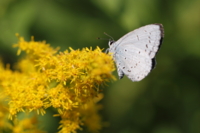 f:id:ovalis:20141025143559j:image:right