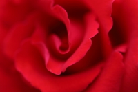 f:id:ovalis:20141101132840j:image:right