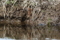 f:id:ovalis:20141102121343j:image:right