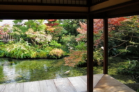 f:id:ovalis:20141124122638j:image:right