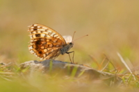 f:id:ovalis:20151018113541j:image:right