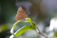 f:id:ovalis:20160402133729j:image:right