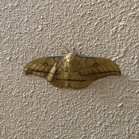 f:id:ovalis:20181007094017j:image:right