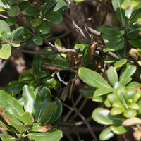 f:id:ovalis:20181021102832j:image:right