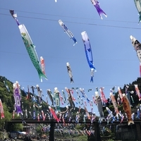 f:id:ovalis:20190503122809j:plain:right