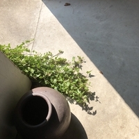 f:id:ovalis:20191022205827j:plain:right