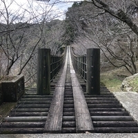 f:id:ovalis:20210124173757j:plain:right