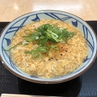 f:id:ovalis:20210207095353j:plain:right