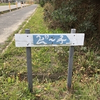 f:id:ovalis:20210211210101j:plain:right